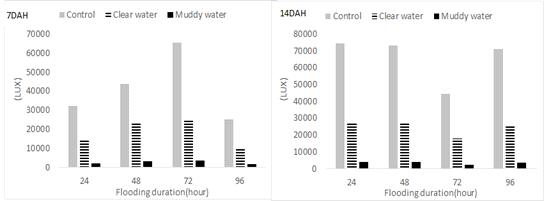 Difference in solar radiation quantity according to flooding condition and duration