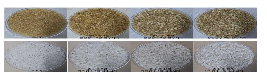 Differences in the quality of white rice affected by flooding treatment during the ripening period(2016~2017)
