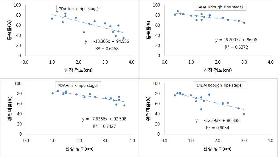 Relationship of the degree of stem elongation with ripening rate and the head rice ratio