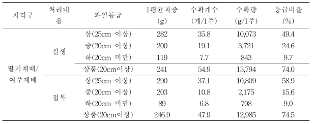 딸기재배 후 여주재배 토양에서 수량 비교(수확기간 2017.6.12~9.4)