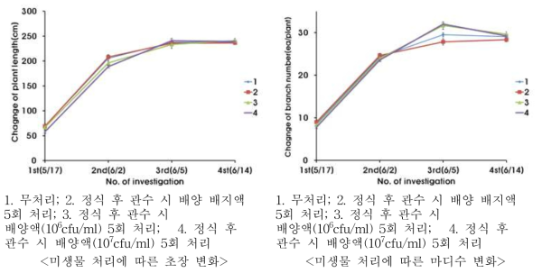 여주 중간 생육조사