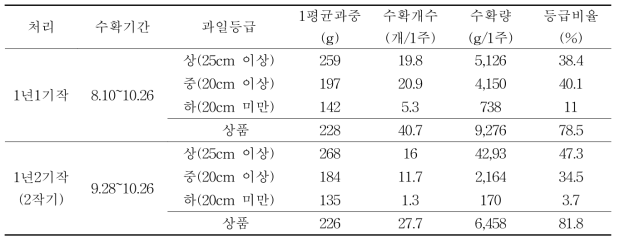 1년 1기작과 1년 2기작 (2작기) 수량 비교