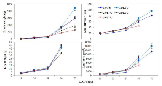 온도 수준별 ‘춘광’ 배추의 생체중, 건체중 및 엽수 엽면적 변화