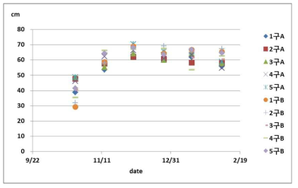 온도구배하우스 파종시기별 초기 식물체고의 변화(‘17.9.5∼’18.2.19)