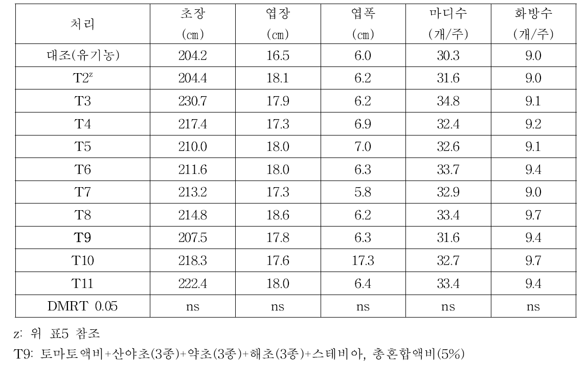 토마토 유기농자재 처리별 생육특성(8.11)