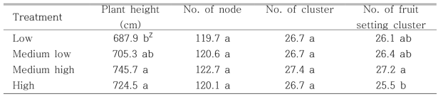 Growth of tomato plant as affected by irrigation volume