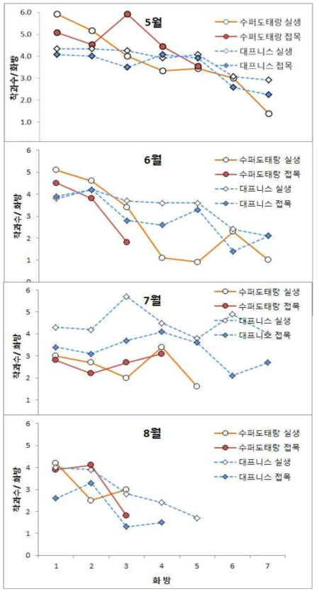 대과종 품종의 정식시기에 따른 화방별 착과수