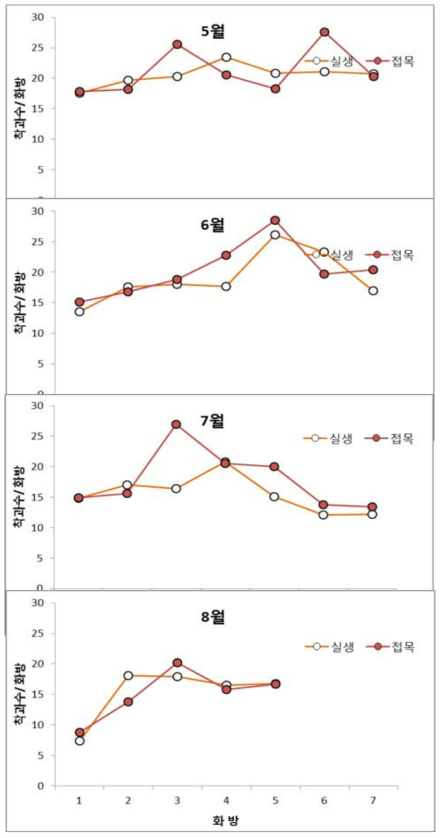 소과종 ‘미니찰’ 품종의 정식시기에 따른 화방별 착과수