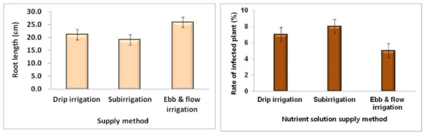 Effect of nutrient supply method on the root length and percentage of infected plants in hydroponic strawberry