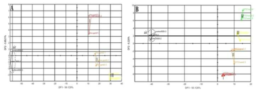 프리지아의 개화단계별 전자코 DFA 분석 결과(A: 샤이니골드, B: 계통 ‘10-721’)