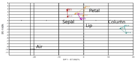 엔시클리아(Encyclia Randii)의 화기기관별 향기패턴 분석, DFA 결과