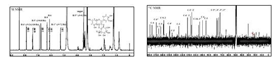 연잎으로부터 분리한 연꽃 화합물 6의 1H, 13C NMR 및 gHMBC 스펙트럼
