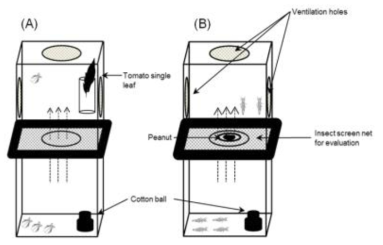 담배가루이 및 꽃노랑총채벌레 방충망 유입 차단실험에 사용한 방충망 처리 모식도 (A) 담배가루이, (B) 꽃노랑총채벌레