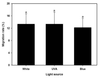 광원별 꽃노랑총채벌레의 이동률