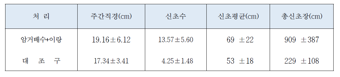 암거배수와 이랑 처리로 1년생 복숭아 생육 개선 (윤. 2012)