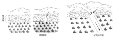 방상림과 서릿길 만들기