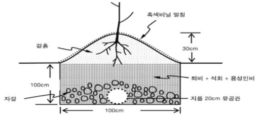 나무를 심는 구덩이와 심는 방법