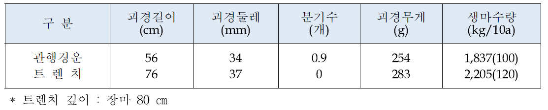 트렌치에 의한 장마 재배효과 (경북도원, 1999)