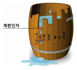 도베네크의 최소 양분통