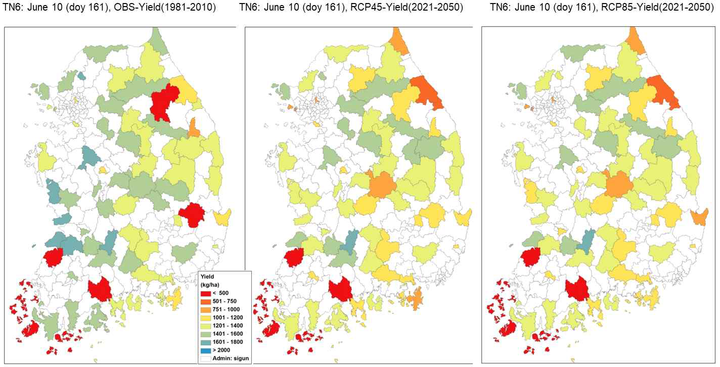 과거 관측기후(1981-2010, 맨왼쪽)와 RCP4.5(가운데)와 RPC8.5(오른쪽) 미래 기후변화 시나리오(2021-2050)에 따른 CROPGRO-Soybean 콩 잠재수량의 공간분포