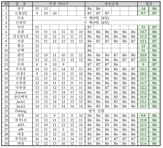 주경 마디수, 생육단계 측정(10월 1일)