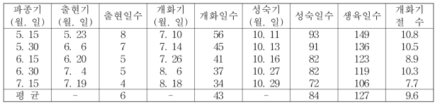 파종기에 따른 개화 및 성숙특성(청자3호, 중․만생종)