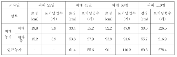 피해 농가와 인근 농가의 생육상황