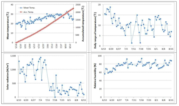 옥수수 재배기간 온도 및 일사량, 상대습도의 변화 양상