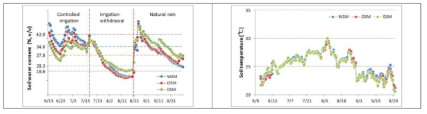 관개방법별 토양수분과 토양온도 변화