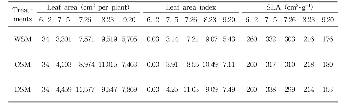 관개방법에 따른 잎 특성 변화