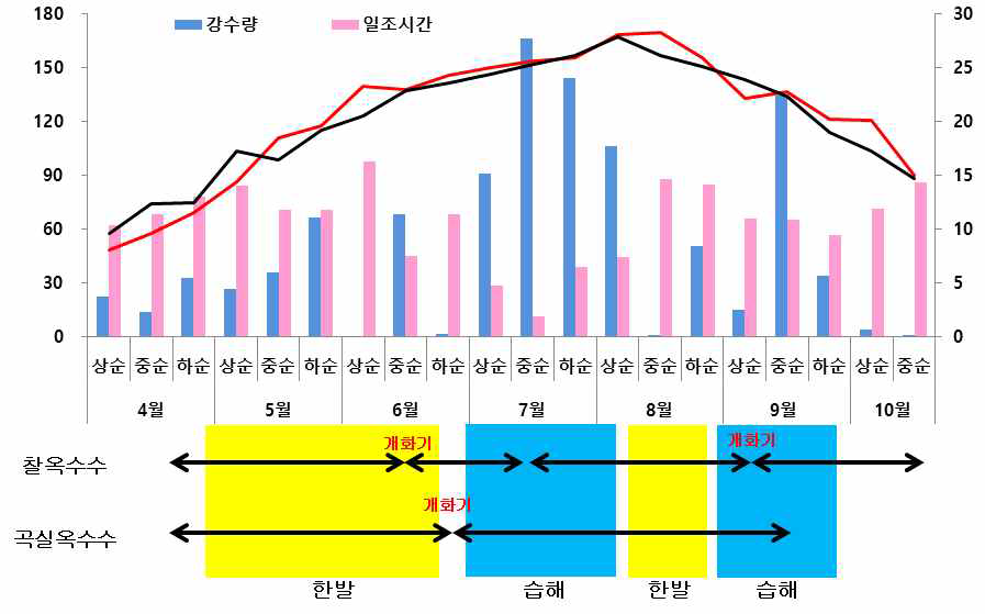 옥수수 이모작 작형에 따른 생육환경 및 기상재해 위험성 분석