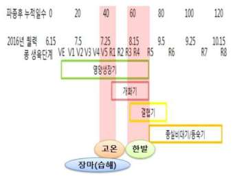 고온과 한발이 수량에 가장 큰 영향을 미치는 시기