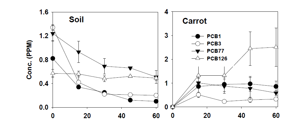 재배기간 중 토양 및 당근 중 PCB congener의 농도 변화