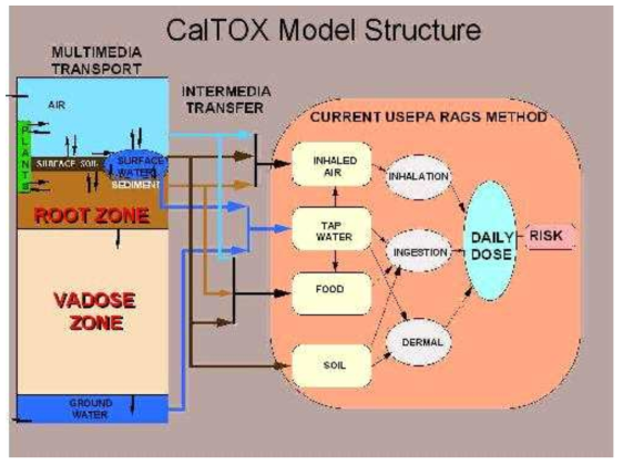 CalTOX 모델의 구조