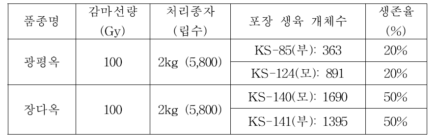 방사선 처리에 의한 돌연변이체 유도