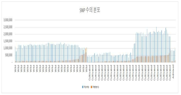 homozygous 및 heterozygous SNP의 수의 분포