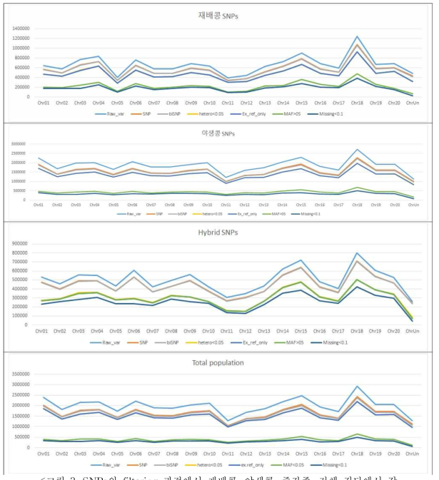 SNPs의 filtering 과정에서 재배콩, 야생콩, 중간종, 전체 집단에서 각 chromosome에서 SNPs의 수가 변화하는 양상
