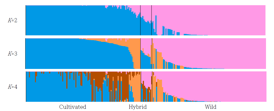 Population structure of tested soybean accession set inferred using ADMIXTURE