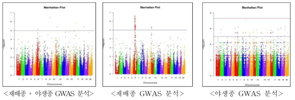 콩 개화일수에 대한 GWAS 분석 결과
