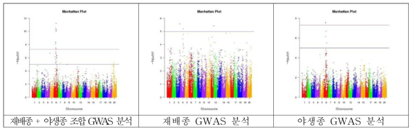 콩 개화일수에 대한 GWAS 분석 결과