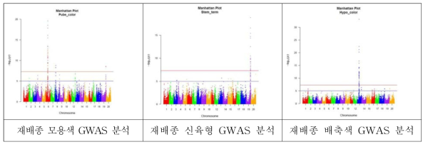 콩 모용색, 신육형, 배축색에 대한 GWAS 분석 결과