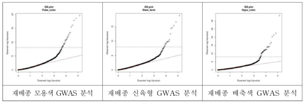 콩 모용색, 신육형, 배축색에 대한 quantile-quantile plot(Q-Q Plot) 분석 결과