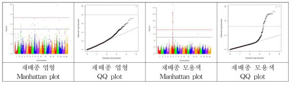 콩 엽형, 모용색에 대한 GWAS 분석 결과