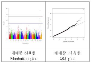 콩 신육형에 대한 GWAS 분석 결과