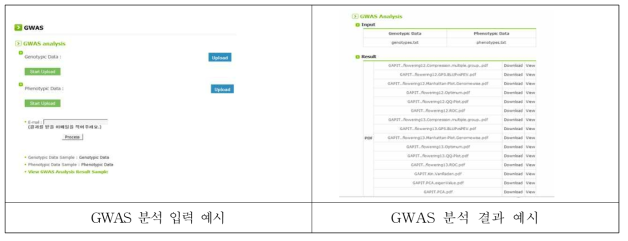 GWAS 분석 화면 구성