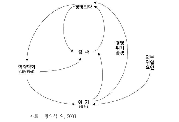 경영위기 발생과정과 경영전략-성과 관계