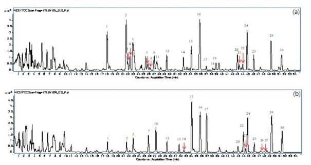 씀바귀 지상부(a)와 지하부(b)의 ESI TCC chromatogram