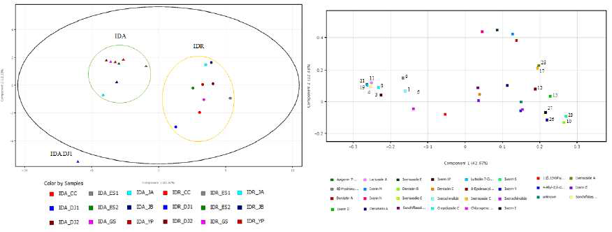 씀바귀 지상부와 지하부의 ECC에 대한 PCA score plot과 loading plot