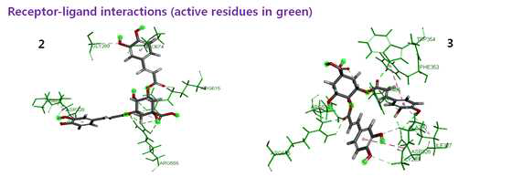 씀바귀 유래 quinic acid 유도체의 ligand-receptor interaction