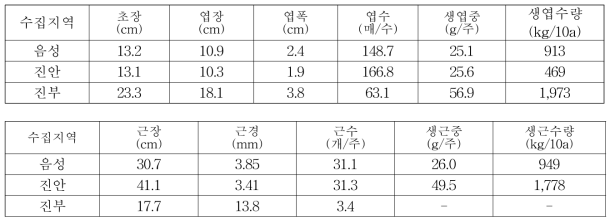 씀바귀 재배지대별 생육특성